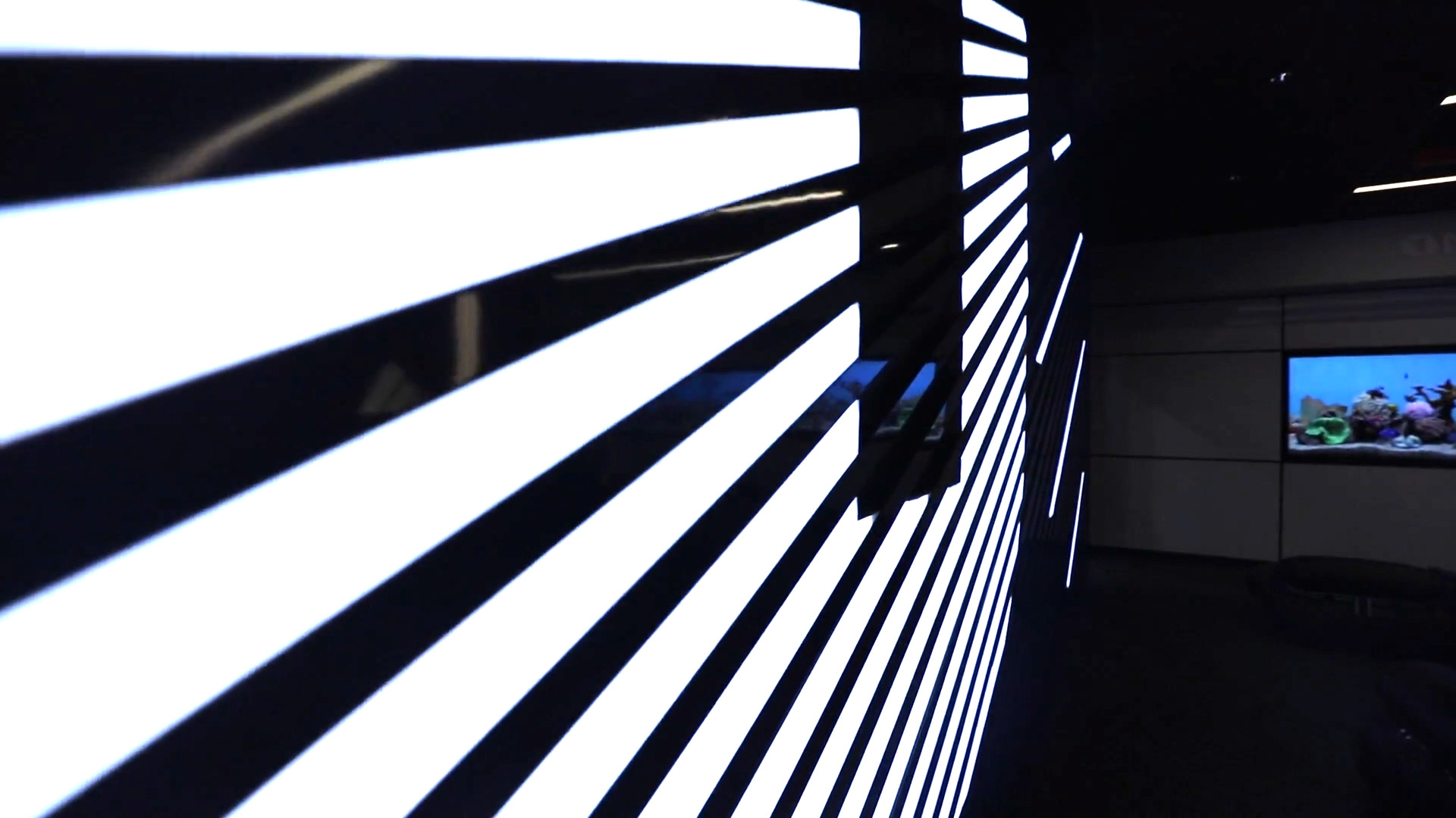 Iowa United light wall